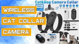 Wireless Cat Collar Camera Outdoor No WiFi Needed Pet Collar Camera With Screen Video Recording Dog