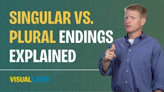 Singular vs. Plural Nouns Explained | Visual Latin 4.0a