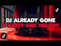 DJ CAMPURAN TIKTOK TERBARU 2024 || DJ ALREADY GONE X NASTY GIRL MELODY HURUNG BBHC