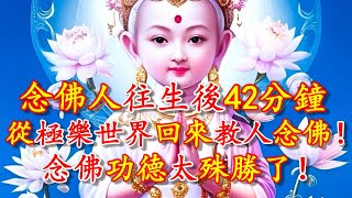 念佛人往生後42分鐘，竟然從極樂世界回來教人念佛！念佛功德太殊勝了！- 禪心