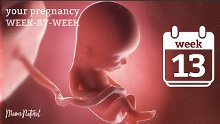 13 Weeks Pregnant - Natural Pregnancy Week-By-Week