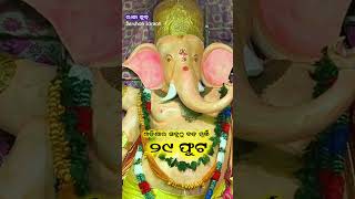 ଓଡ଼ିଶାର ସବୁଠୁ ବଡ ମୂର୍ତି ୨୯ ଫୁଟ #ganeshpooja #pooja2024