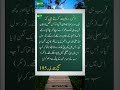 hadees e nabvi s.a.w s.bukhari 195 muslim islamicquotes hadithoftheday shorthadees hadees