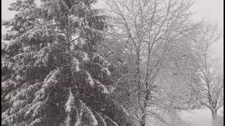neige sur les montagnes de djurdjura #nature #kabylie #2023 #algerie #new #météo ثلوج مرتفعات جرجرة