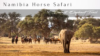 African Horse Safaris | Gallop the Namibian Desert on a Riding Safari in Africa