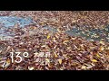 福岡女子短期大学キャンパスvlog 2021年11月22日