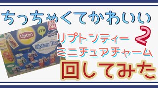 【ガチャ】かわいいガチャ見つけたので回してみた！【リプトンティー】