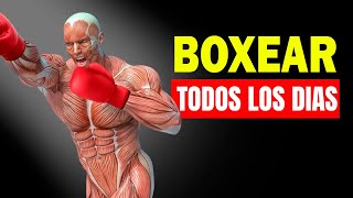 ✅ Qué Le Pasa A Tu Cuerpo Si Empiezas A Boxear Todos los Días - Beneficios de Boxear