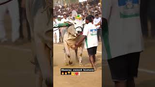 ❤️📸🫶dheera vere level of history #ongolebullsshow #kidsenjoyinginongolebullsrace  #bull #farmer 🔥