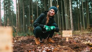 Fiat pflanzt zusammen mit Plant-my-tree 100.000 Bäume