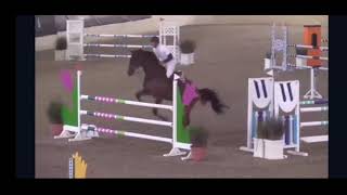 Lamaze 3 Show Jump