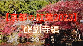 見頃を迎えた京都の紅葉2023　醍醐寺編