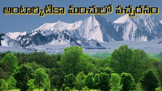 ఇక్కడ మొక్కలు మొలిస్తే ప్రపంచం అంతం..ఎందుకు..?|Antarctica is turning green at an alarming rate