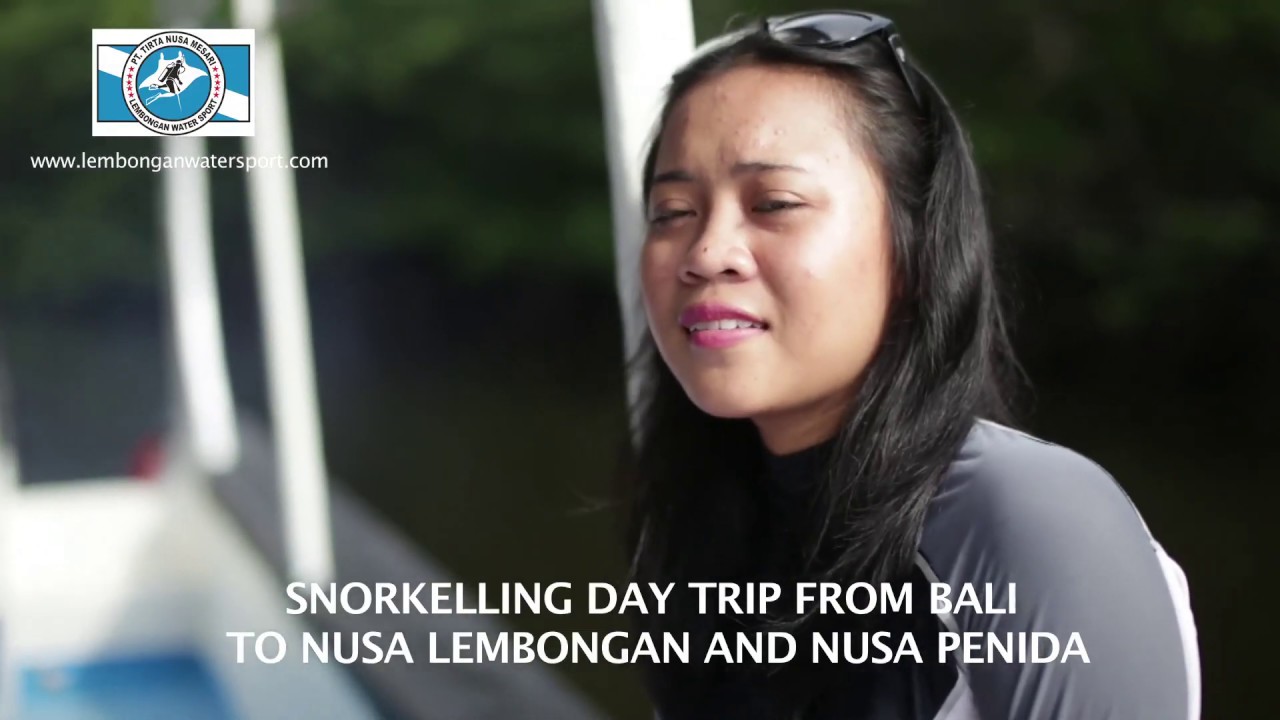 Lembongan Dive Video Youtube