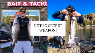 LAKE MARY | SECRET WEAPON | Eastern Sierra Fishing