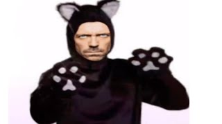 memes but if you laugh you become cat