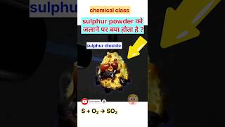 what happened when sulphur powder burn in air,#sulphur powder,#chemicalclass,#experiment ,#shorts