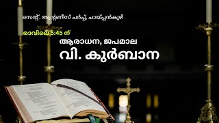 Holy Mass LIVE || 16th ജനുവരി 2024 || ആരാധന, ജപമാല, വി. കുർബാന || chaipankuzhy church