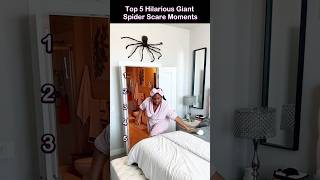 Top 5 Hilarious Giant Spider Scare Moments 😂🤣