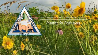 Landowner Profile: Planting for Pollinators (Caldwell County)