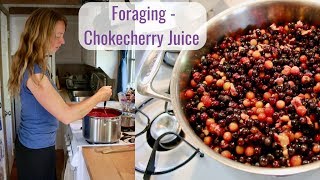 Wild Food Foraging - Chokecherry Juice