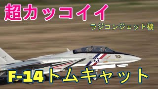 巨大ラジコン飛行機　リアルシリーズ　F14トムキャット　超危機一髪