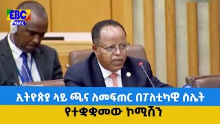 ኢትዮጵያ ላይ ጫና ለመፍጠር በፖለቲካዊ ስሌት የተቋቋመው ኮሚሽን  Etv | Ethiopia | News