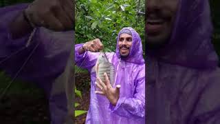 പെരും 🌧️🌧️മഴയത്തു മീൻ പിടുത്തം 🎣🎣