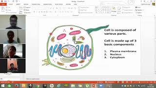 ICSE 9th | Biology | Zoom Classes