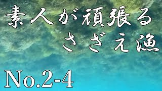 素人が頑張るさざえ漁 No.2-4 20240711