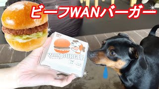 コミフデリの犬用ハンバーガーがクオリティ高かった！【ミニピン】