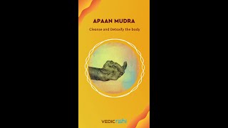 Apana Mudra - Clean & Detoxify the Body