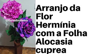 ARRANJO DA FLOR HERMINIA COM A FOLHA ALOCÁSIA CUPREA, LINDÍSSIMA