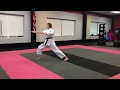 American Karate - Yul-Kok Form