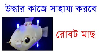 ব্লুবট - সাহায্য করবে উদ্ধার কাজে (রোবট মাছ)