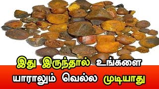 உலகையே வசியபடுத்தும் கோரோசனை