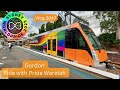 Sydney Trains Vlog 2047: Gordon ft The Ride with Pride Waratah