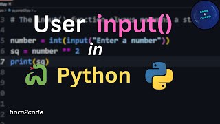 User input in Python 🐍👨💻 | Born2Code