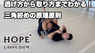 逃げ方から取り方までわかる！三角絞めの原理原則【柔術】