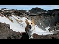 top of mt. fuji 富士山 山頂 20100717 goro@welsh corgi コーギー 世界遺産