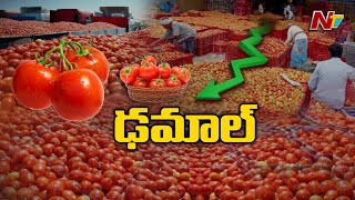 Tomato Prices : నెల రోజుల క్రితం 200-300... నేడు 40పైసలు l NTV