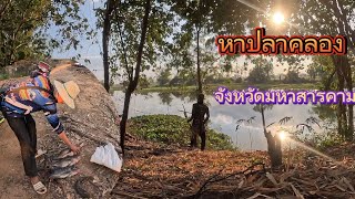 ครองนี้ปลานิลมีแต่ตัวใหญ่ๆ #fishing #เซียน #ยิงปลานิล #ยิงปลาผุด