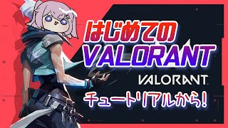 【 #VALORANT 】はじめてのVALORANT！チュートリアルからやる【 Vtuber / ネムリコ  】