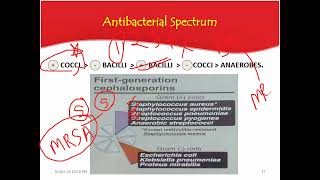 cell wall synthesis inhibitors part 4  2024