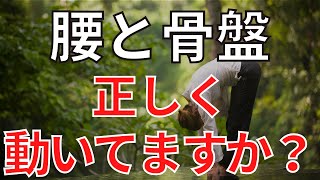 『腰痛・股関節の痛み』ペルレ整骨院・鍼灸院（杉並区高井戸西）京王井の頭線富士見ヶ丘駅徒歩２分