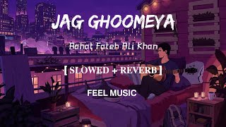 Jag Ghoomeya | Lofi- [Slowed and Reverb] | Rahat Fateh Ali Khan | FEEL MUSIC
