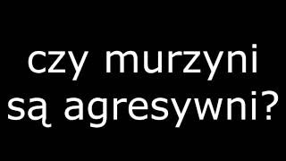 Zunkowe teorie spiskowe #7 : czy murzyni są agresywni?