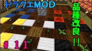 【マインクラフト】ドラクエＭＯＤ#11　品種改良始めました！【ゆっくり実況】