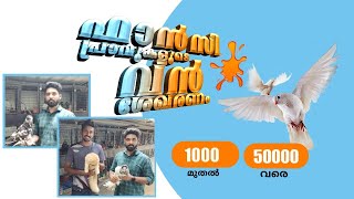 pigeon/പ്രാവ്/ഫാൻസി പ്രാവുകളുടെ വൻ ശേഖരണം/1000രൂപ മുതൽ 50000വരെ വിലപിടിപ്പുള്ള പ്രാവുകൾ/pet vlog#Ep3