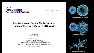 Probing novel immune evasion mechanisms for immunotherapy of cancer and beyond